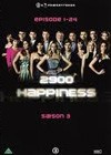 2900 Happiness (2007)2.jpg